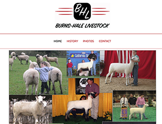 Burns/Hale Livestock