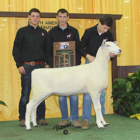 Futurity Winner