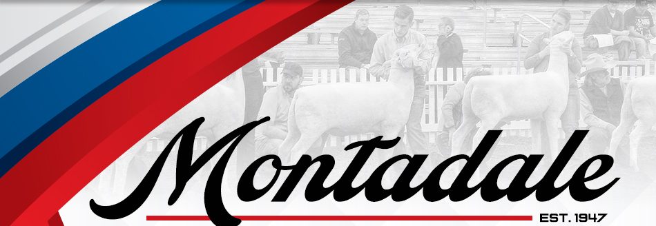 Montadale Sheep Breeders Association