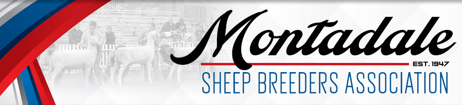 Montadale Sheep Breeders Association