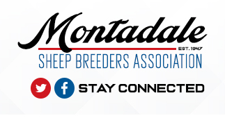Montadale Sheep Breeders Association