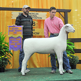 2018 Futurity Winner