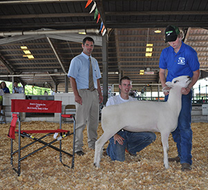 National Jr. Show