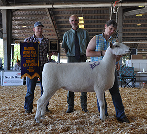 National Sale Winners