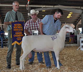 National Sale Winners