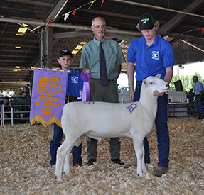 National Sale Winners