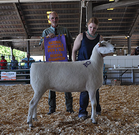 National Sale Winners
