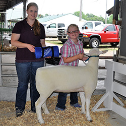Montadale Junior Show
