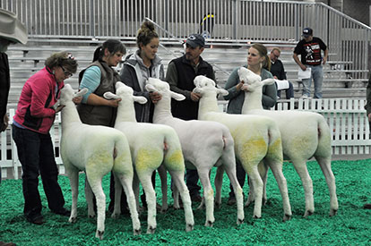 NAILE Winners