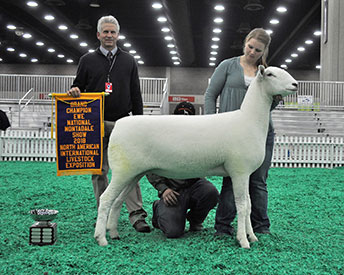 NAILE Winners