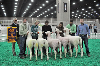 NAILE Winners