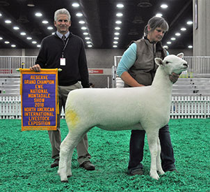 NAILE Winners