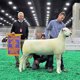 NAILE Winners
