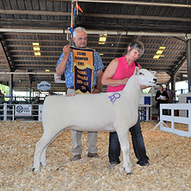 National Sale Winners
