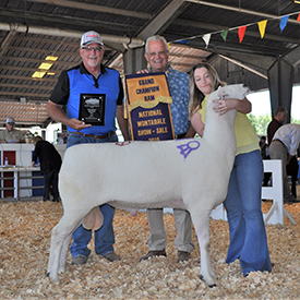 National Sale Winners