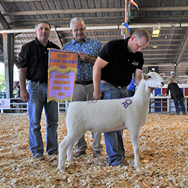 National Sale Winners