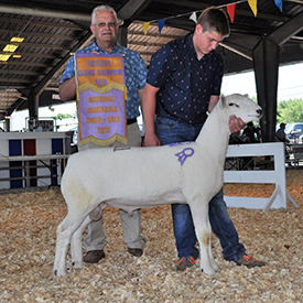 National Sale Winners