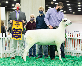 NAILE Winners