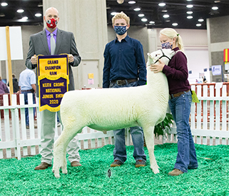 NAILE Winners