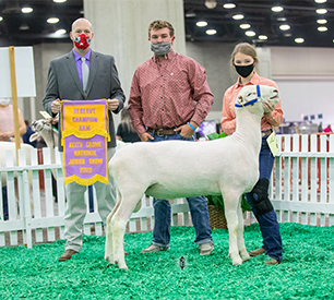 NAiLE Winners